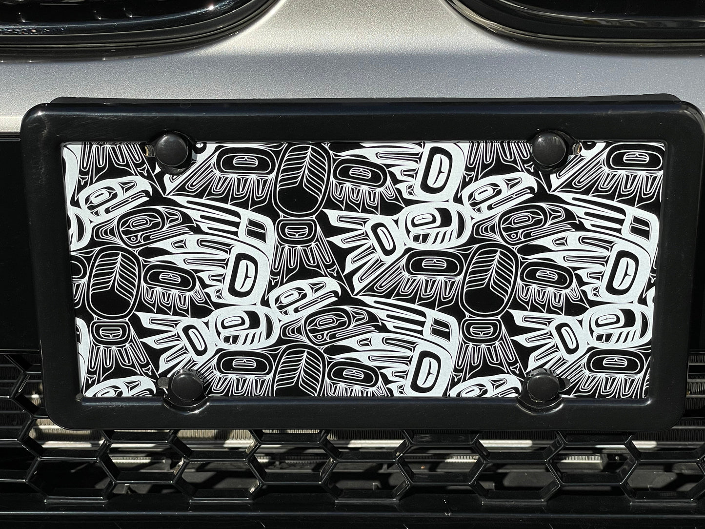 License Plate Art (Printed in Alaska)