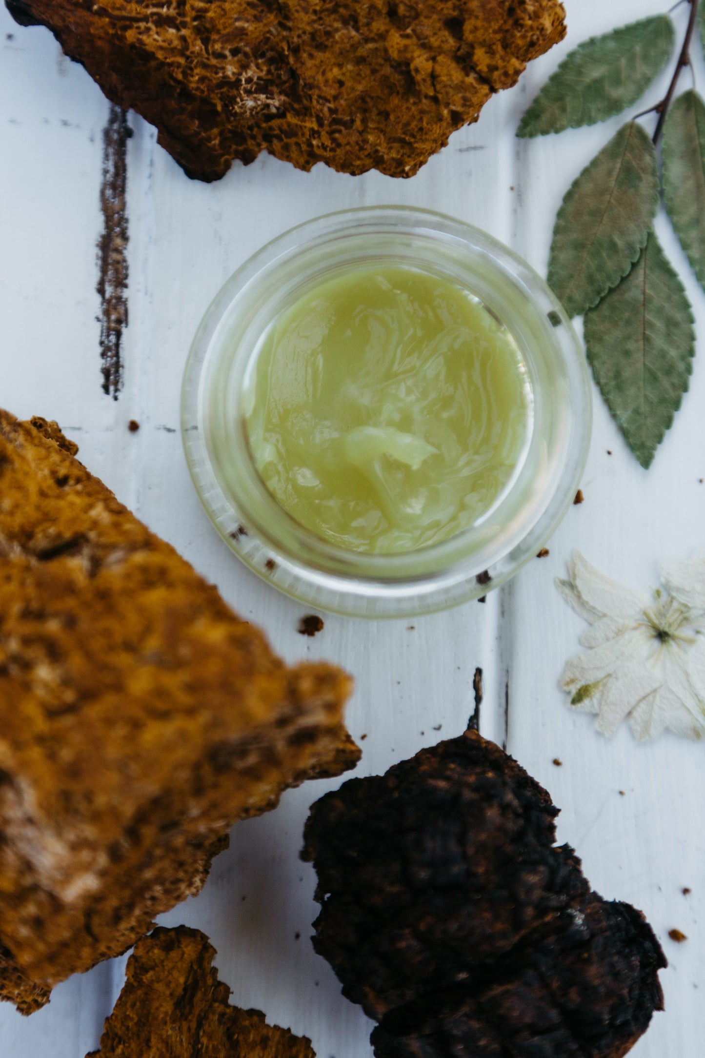 Green Coffee Bean Under Eye Gel